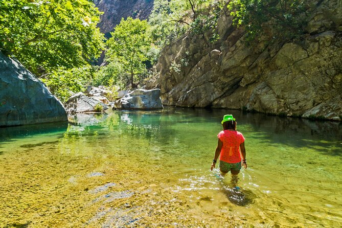 Agadir Taghazout: Paradise Valley & Atlas Mountains Swimming Trip - Who should book this outing?