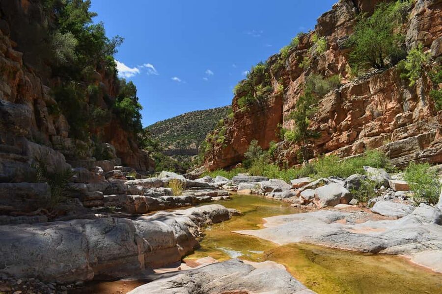 Agadir/Taghazout: Paradise Valley Atlas Mountains Trip - Practical advice for a smoother outing