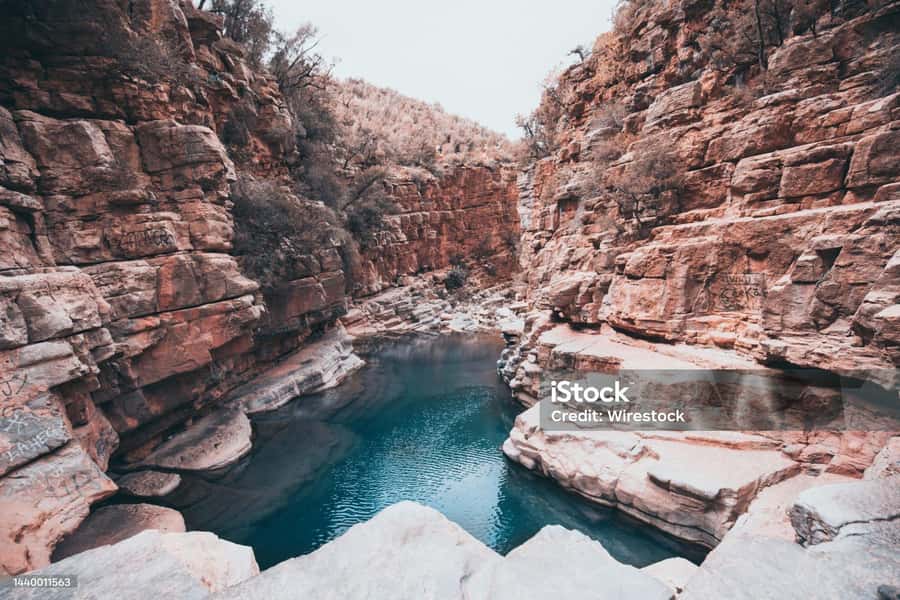 Agadir/Taghazout : Paradise Valley & Sandboarding with Lunch - Key points to know before booking