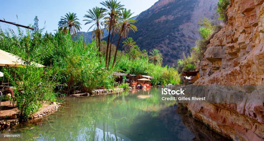 Agadir/Taghazout : Paradise Valley & Sandboarding with Lunch - From Agadir to the argan country