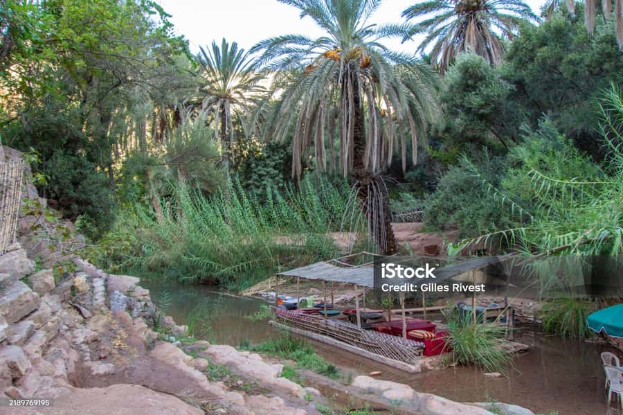 Agadir/Taghazout : Paradise Valley & Sandboarding with Lunch - Lunch and mint tea in Tamri