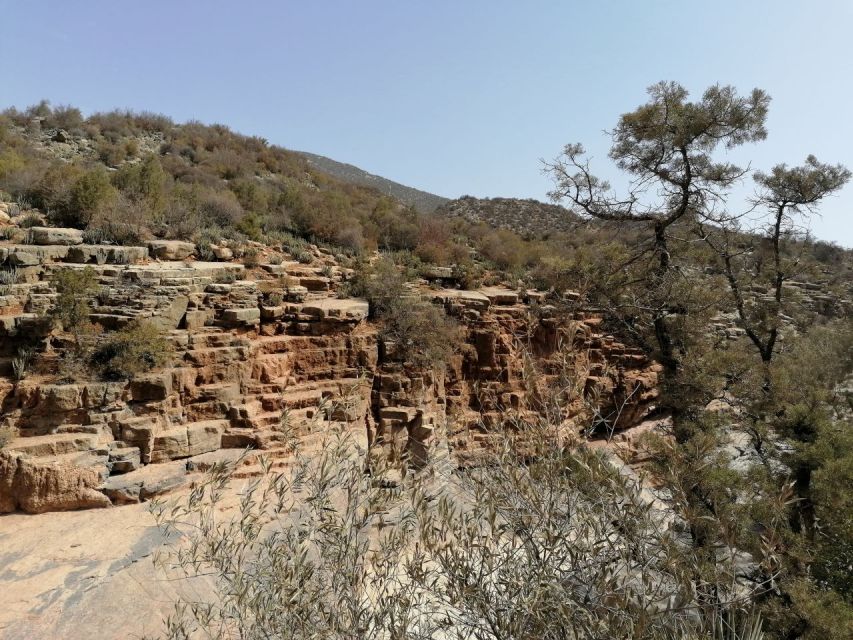 Agadir/Taghazout : Paradise Valley & Sandboarding with Lunch - What the guides add to the day