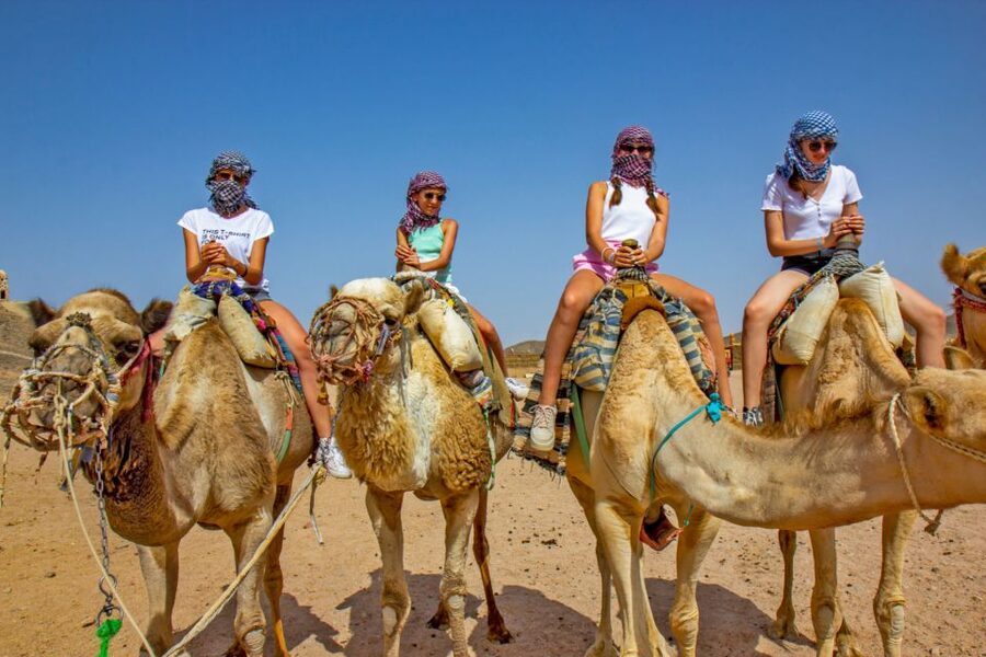 Agadir/Taghazout/Port: Camel Ride Tea & BBQ Option - Key points to know before booking