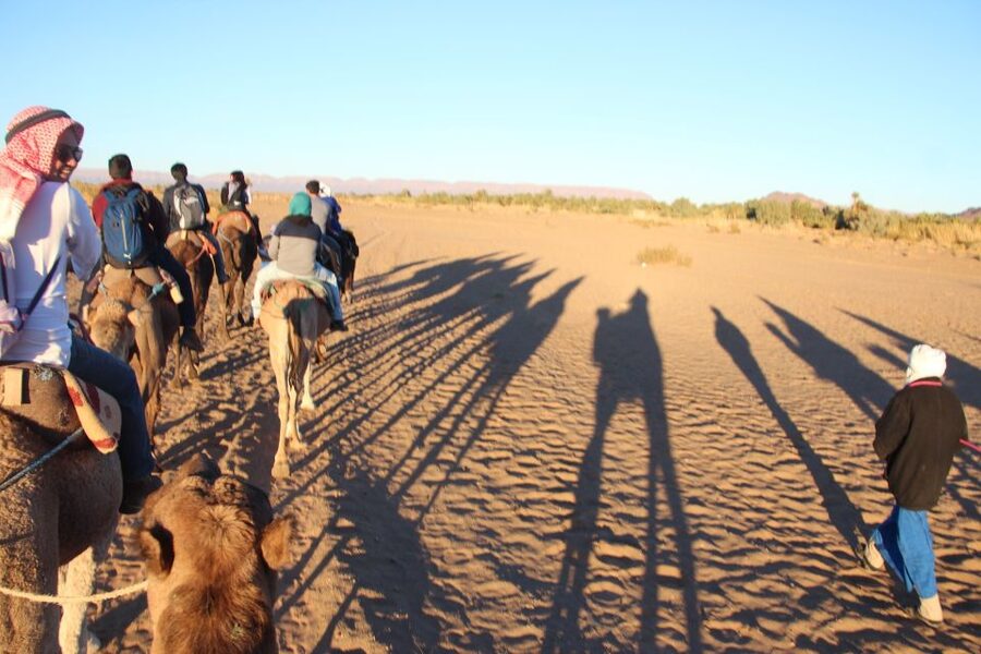 Agadir/Taghazout/Port: Camel Ride Tea & BBQ Option - Riding from Agadir toward the Souss River