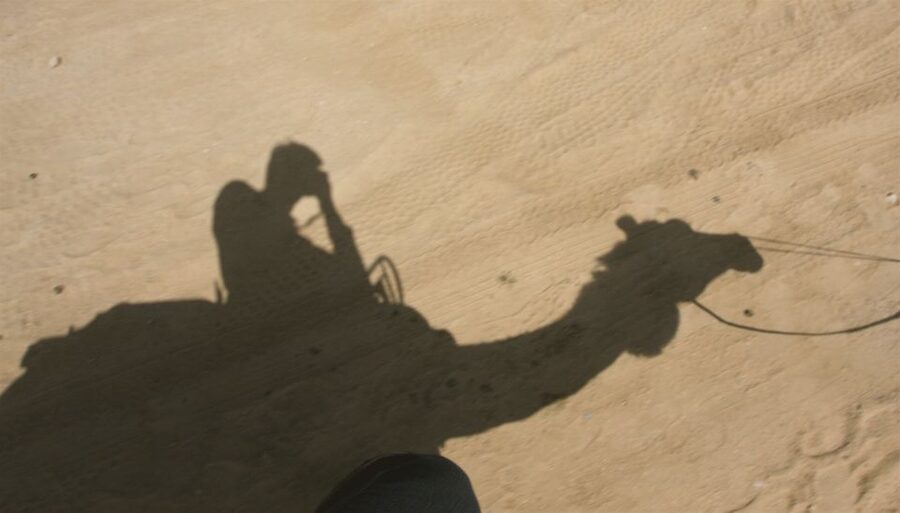 Agadir/Taghazout/Port: Camel Ride Tea & BBQ Option - Aghroud Bensergao and the local stories