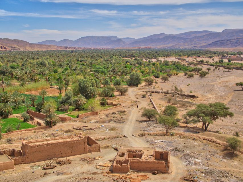 Agadir/Taghazout/Port: Paradise Valley Atlas Mountains Trip - Swimming in Paradise Valley’s natural pools