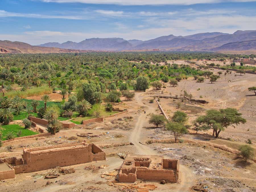 Agadir/Taghazout/Port: Paradise Valley Atlas Mountains Trip - Agadir souk and city stops: check the route carefully