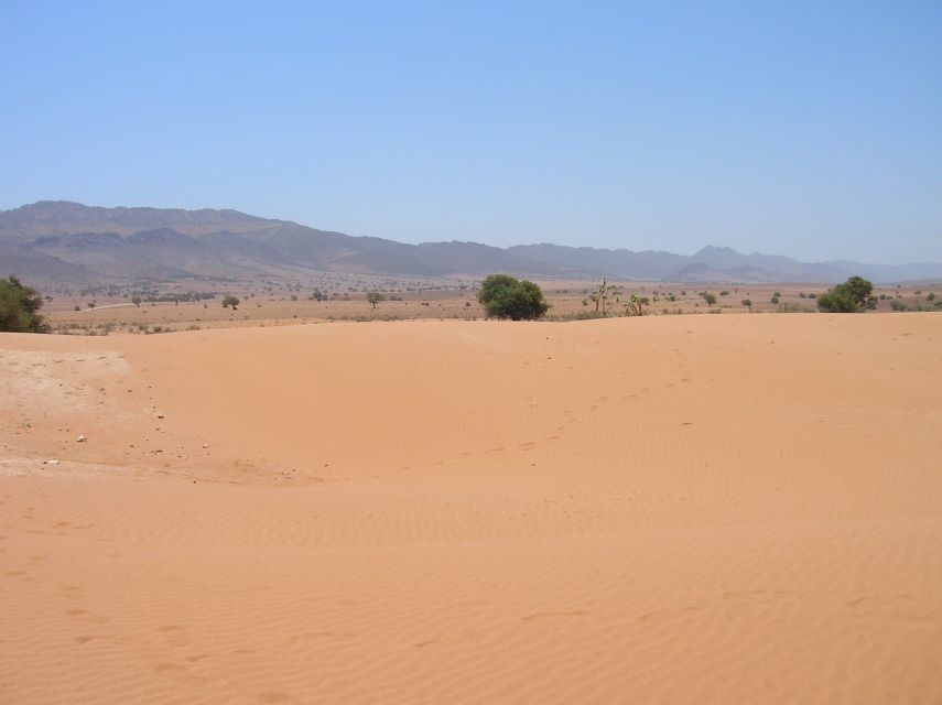 Agadir/Taghazout/Port: Sahara Desert 4x4 Day Trip with Lunch - Tiznit, Morocco’s silver center