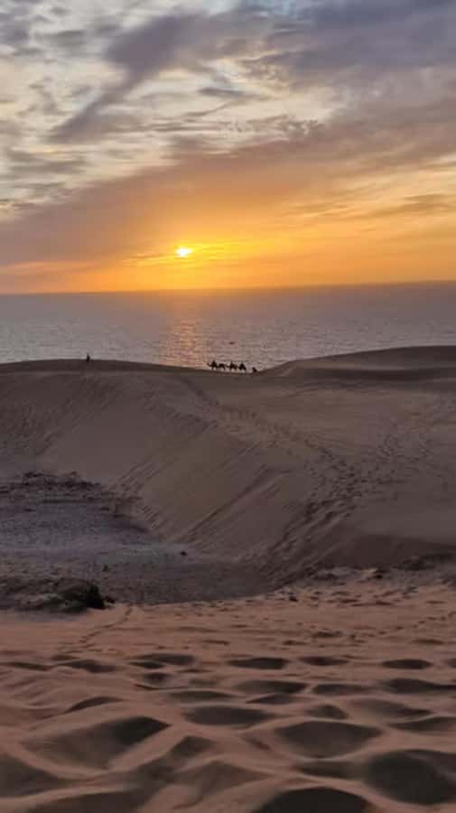 Agadir/Taghazout : Quad Bike & Camel Ride On The Beach - The camel ride beside Tamraght Bay