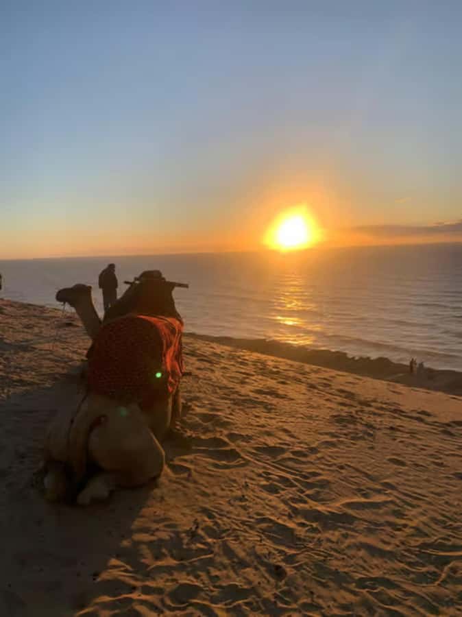 Agadir/Taghazout : Quad Bike & Camel Ride On The Beach - Who should book this experience