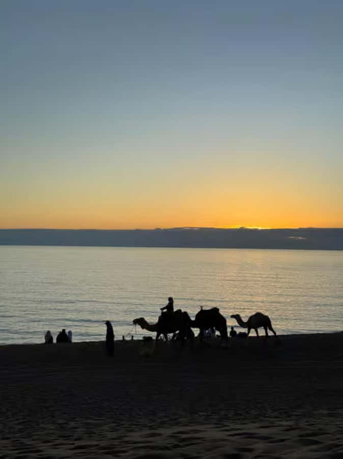 Agadir/Taghazout : Quad Bike & Camel Ride On The Beach - What to wear and bring