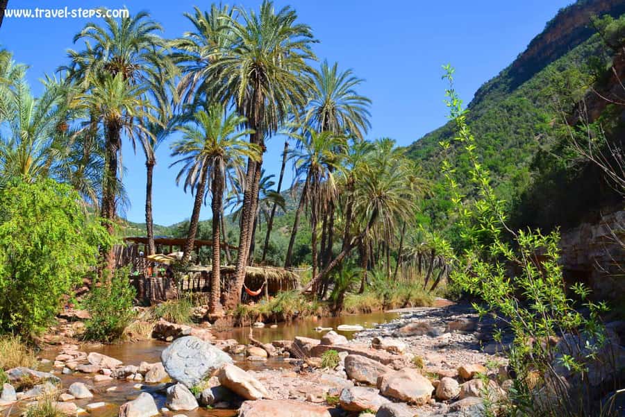 Agadir/Taghazout/Tamraght: Paradise Valley Best Tour - Key points to know before you book