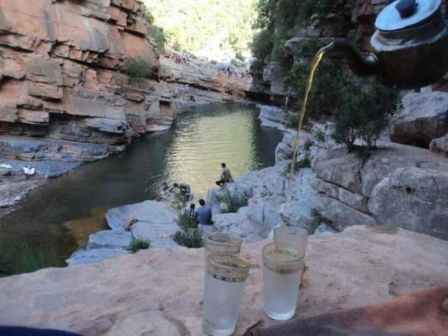 Agadir/Taghazout/Tamraght: Paradise Valley Best Tour - From Agadir to the foothills by 8:30 AM
