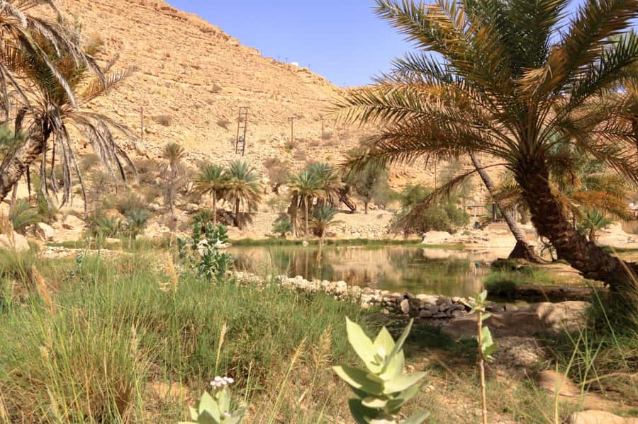 Agadir/Taghazout/Tamraght: Paradise Valley Best Tour - What the guides add to the morning