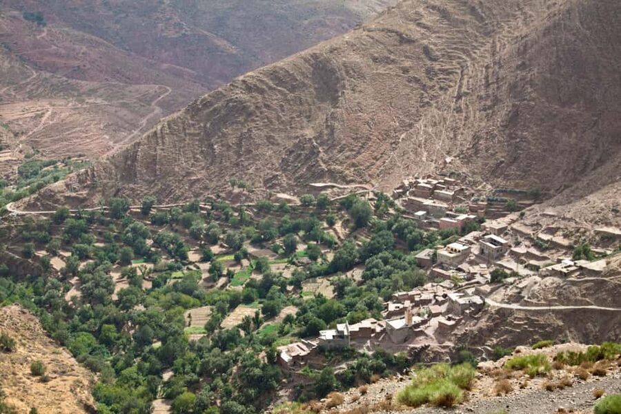 Agadir/Tamraght/Taghazout: Paradise Valley Atlas Tour - From Agadir to the Atlas foothills