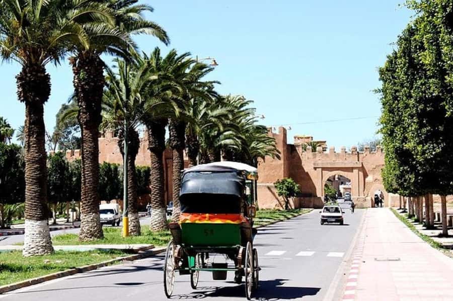 Agadir: Taroudant Oasis and Tiout Day Trip with Lunch Option - Should you book the Taroudant and Tiout tour?