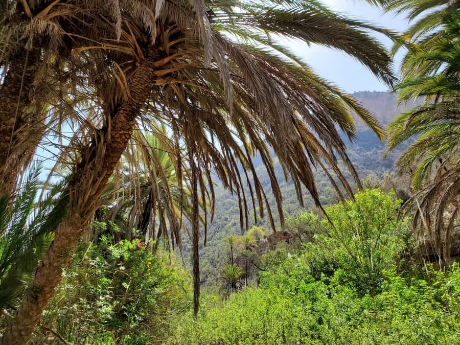 Agadir: Timlaline Desert and Paradise Valley with Camel Ride - Tamzergourte adds a short mountain pause