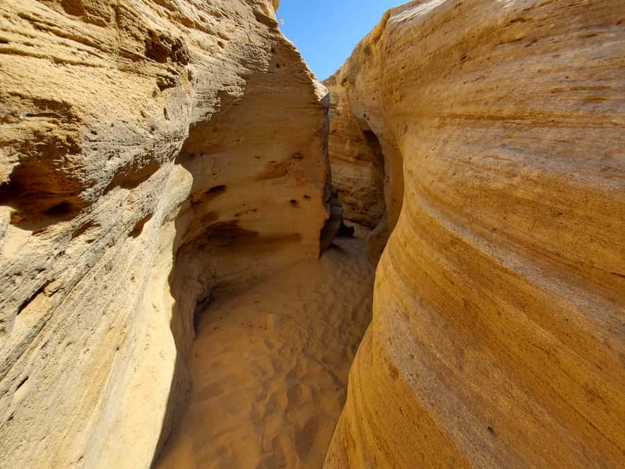 Agadir: Timlaline Desert and Paradise Valley with Camel Ride - A home-style lunch in Tamri