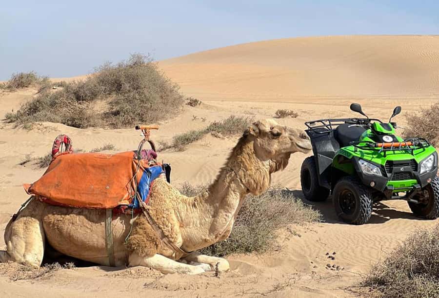 Agadir to Tifnit Desert: Quad Biking Tour with Sandboarding - Guides, group size, and the human side
