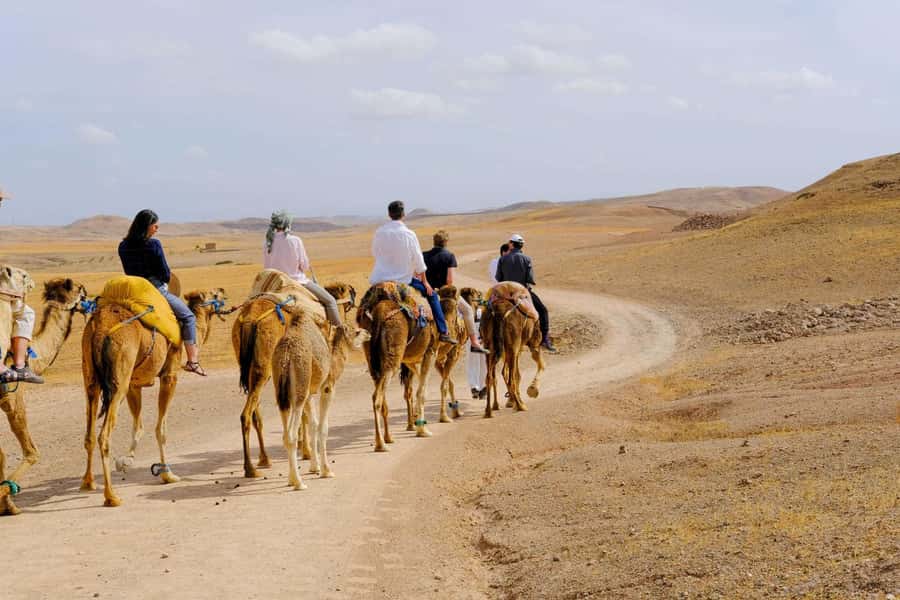 Agafay and atlas: Quad and camel experience - Who should book this experience