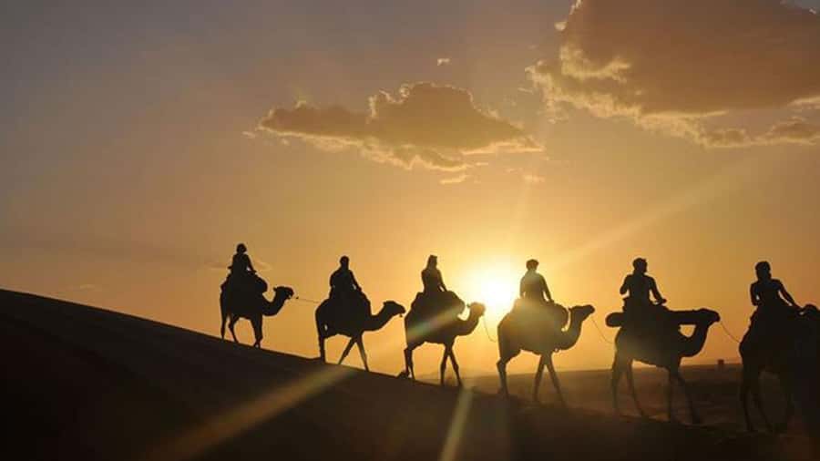 Agafay and atlas: Quad and camel experience - The 15-minute tea stop