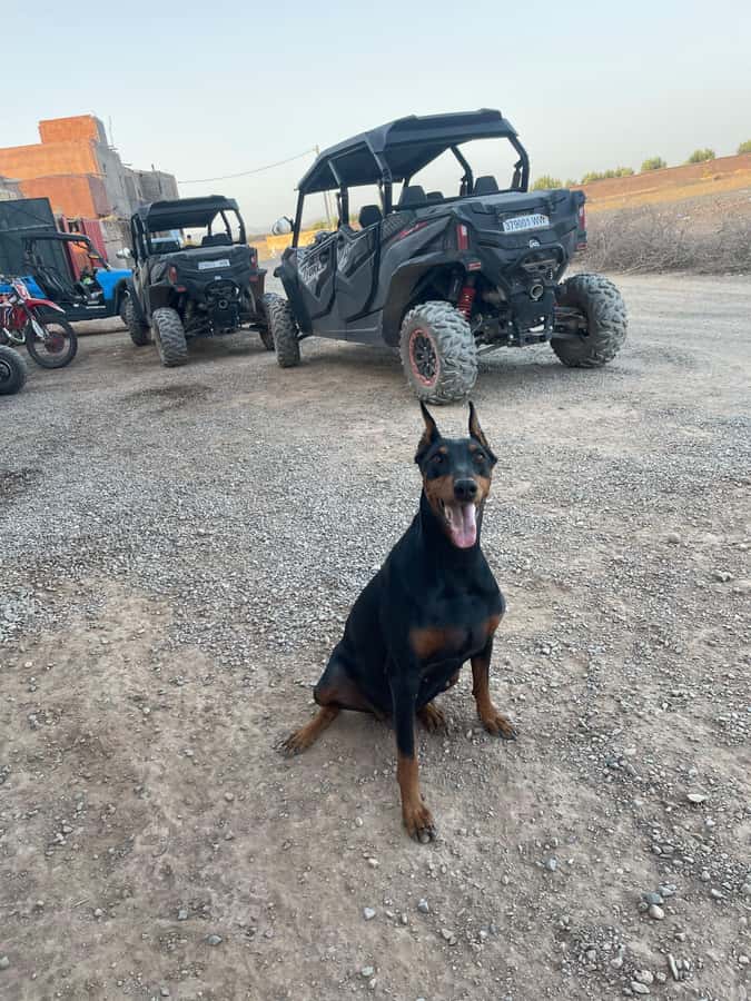 Agafay Desert 4-Seater Buggy Experience | Family & Premium - How long the day feels