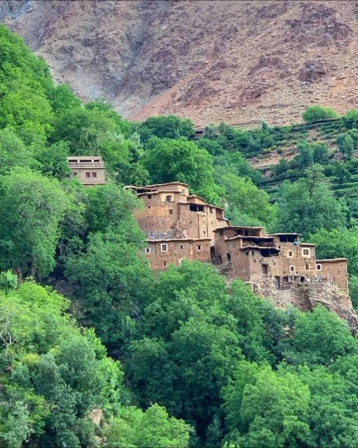 Agafay Desert & Atlas Mountain & Camel Ride Day Trip & Lunch - The people make the difference