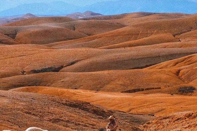Agafay Desert: Dinner + Show with Quad Bike & Sunset Camel Ride - Music, dancing, and a short fire show