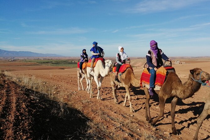 Agafay Desert Package: Quad, Camel Rides & Dinner Show or Lunch - The sunset and fire show are the real highlights