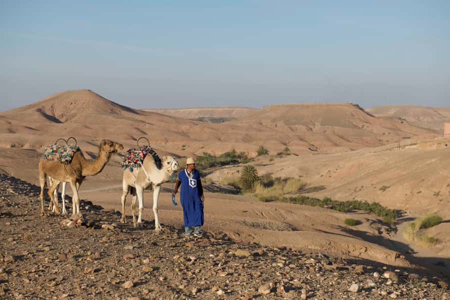 Agafay Desert: Quad Bike and Camel Ride Adventure Tour - Taking the Yamaha quad over mixed terrain