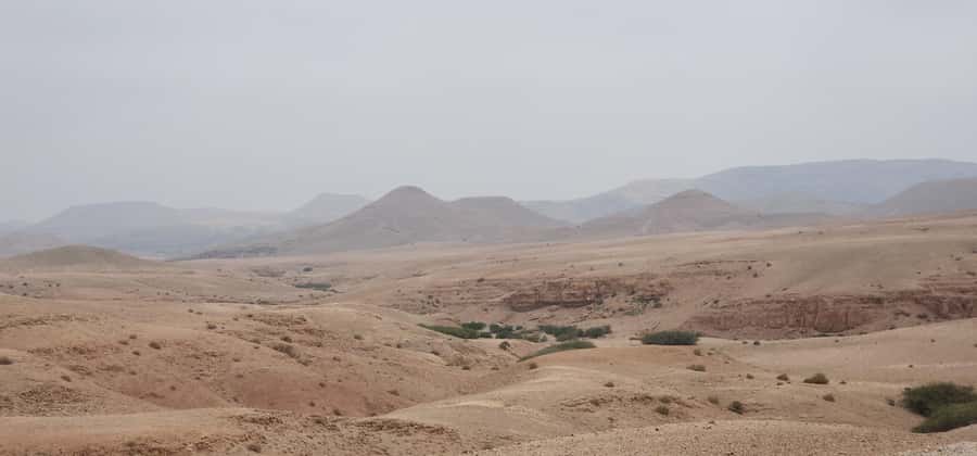 Agafay Desert: Quad Biking, Camel Ride, Lunch - Is $34 good value?