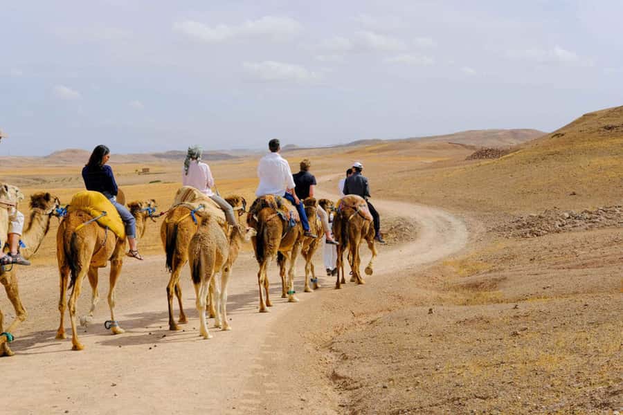 Agafay Desert: Quad, Camel Ride & Luxury Lunch with Pool - Pool time with desert views