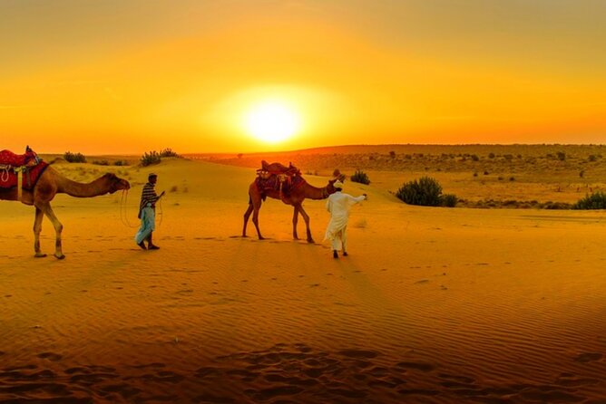 Agafay Desert Sunset, Camel Ride and Dinner from Marrakech - Pickup from Marrakech can make or break the evening