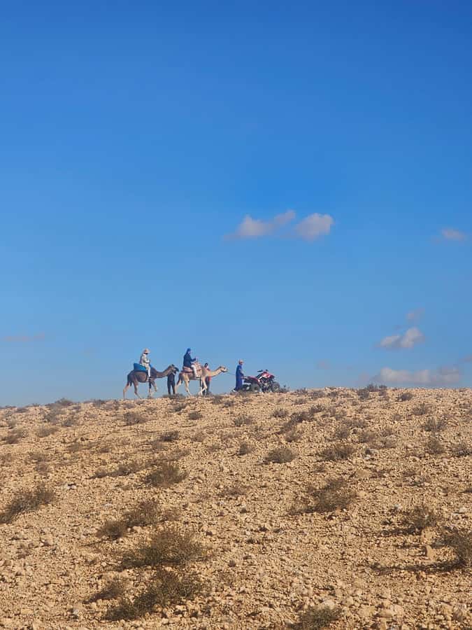 Agafay Desert Tour: Quad, Camel, Lunch & Pool Access - Should you book the Agafay Desert Tour?