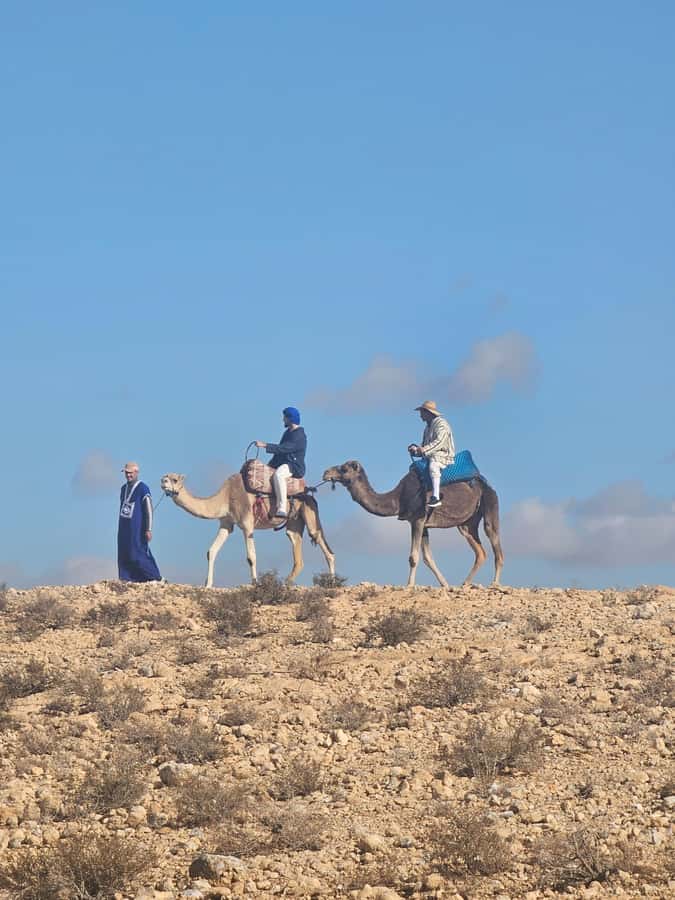 Agafay Desert Tour: Quad, Camel, Lunch & Pool Access - Transport, guides, and the rhythm of the day
