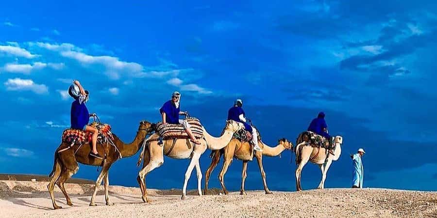 Agafay: Half-Day Rocky Desert Quad & Camel Ride with Lunch - Practical Tips for a Better Day