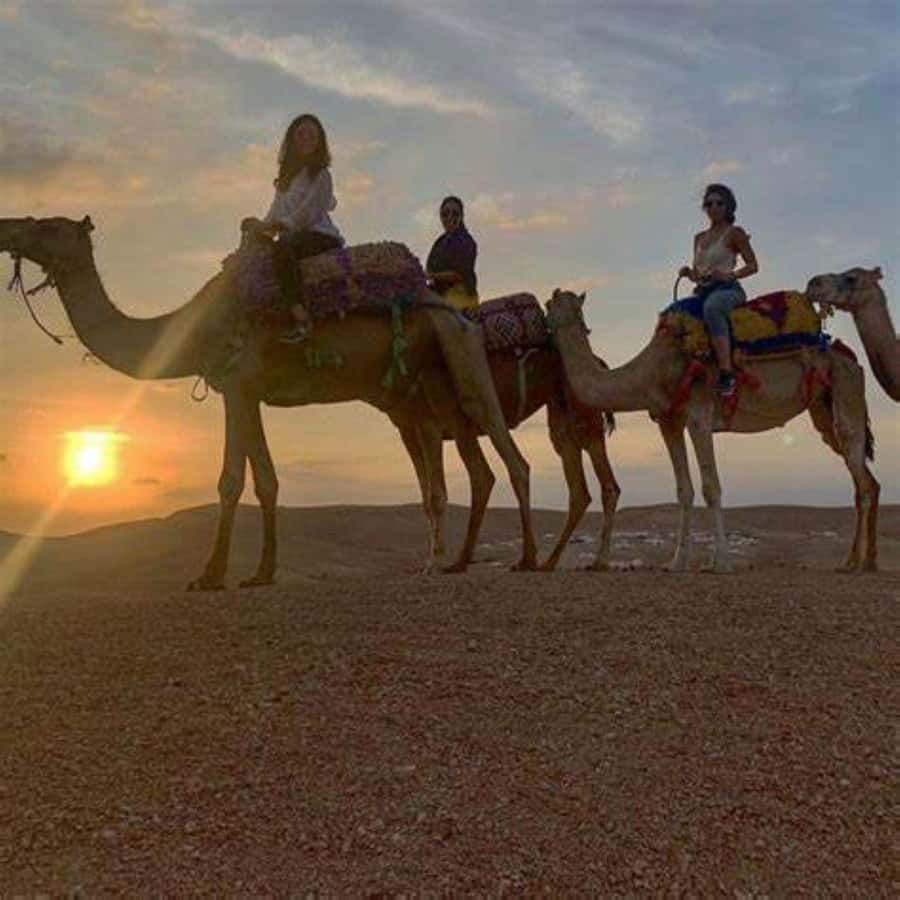 Agafay: Quad, Camel Ride & Dinner Show from Marrakech - Berber music, dancing, and the fire show