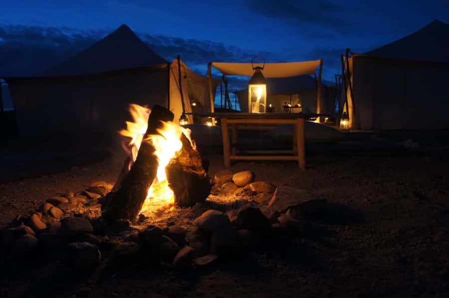Agafay: Quad, Camel Ride & Dinner Show from Marrakech - Who should book this Agafay outing?