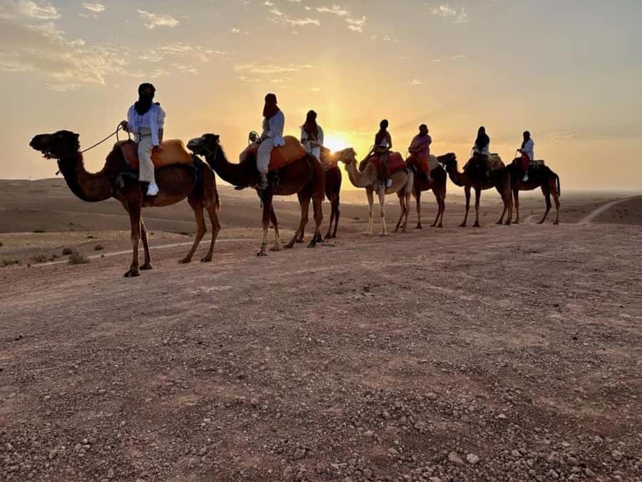 Agafay tour Quade Bike, Sunset and Romantic Dinner Show - The argan oil cooperative stop