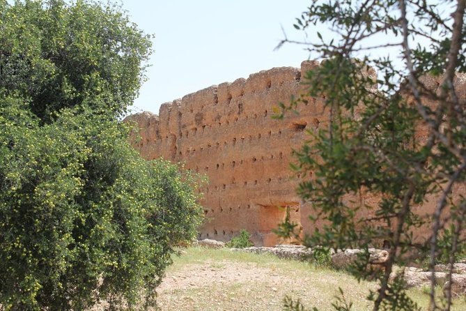 Argan Forest, tea time at a Berbers family & Visit of an Argan cooperative. - How argan oil is made at the cooperative