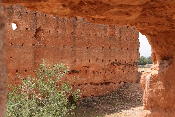 Argan Forest, tea time at a Berbers family & Visit of an Argan cooperative. - What the $52.27 price covers