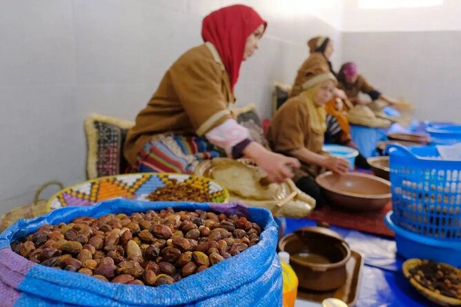 Argan Tree-Climbing Goats Morning Tour From Agadir - Practical points before you book