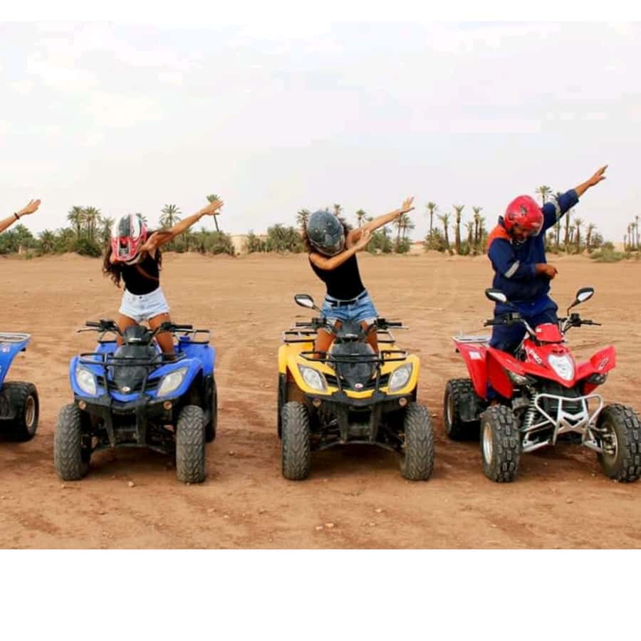 Around Marrakech: Camel Ride in Palm Groves including Tea - Reaching the Palmeraie from Marrakech