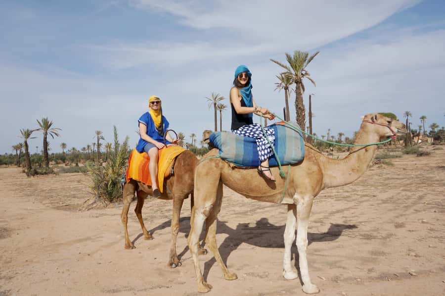 Around Marrakech: Camel Ride in Palm Groves including Tea - One hour through palms and village paths