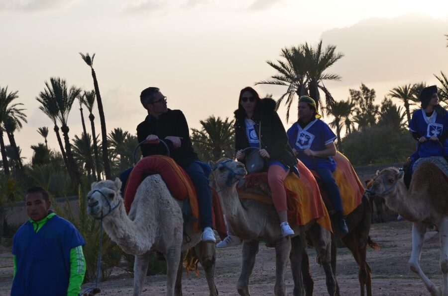 Around Marrakech: Camel Ride in Palm Groves including Tea - Adding the two-hour quad-bike option