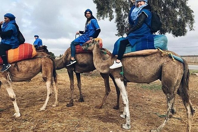 Atlas Mountain & Berber Villages and Waterfalls Day Trip from Marrakech - Tea in a Berber family home