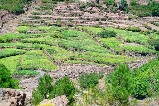Atlas Mountain & Berber Villages and Waterfalls Day Trip from Marrakech - Lunch at Dar Aymane for about 6 euros