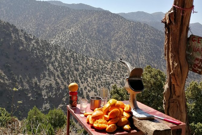 Atlas Mountain & Berber Villages and Waterfalls Day Trip from Marrakech - What the $34.89 price really buys