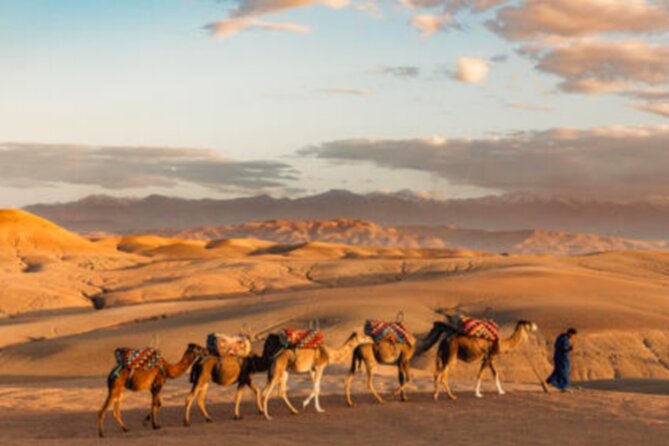 Atlas Mountains, 3 Valleys & Agafay Desert from Marrakech-DayTour - The camel ride is fun, but not a Sahara crossing