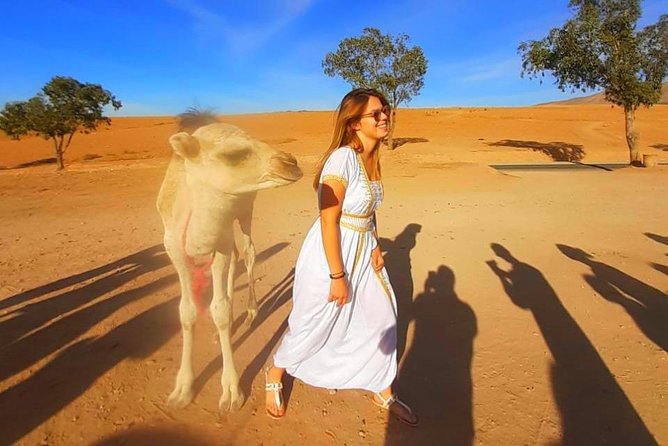 Atlas Mountains, 3 Valleys & Agafay Desert from Marrakech-DayTour - Guides and drivers shape the day